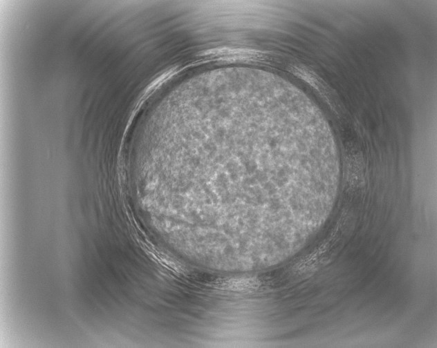 X0000051891074200507222010