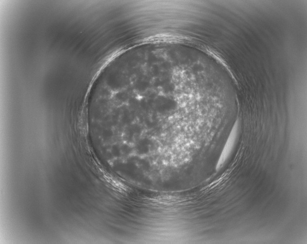 X0000051891075200507222009