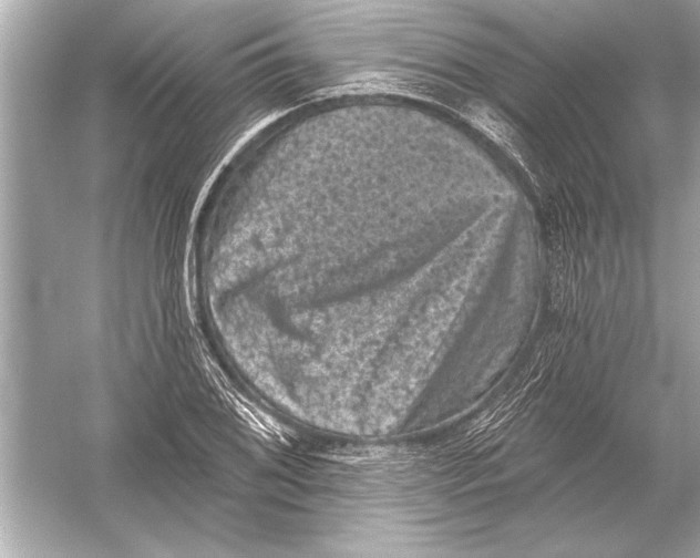 X0000051891076200507222009