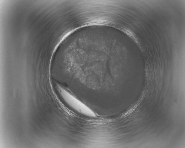 X0000051891077200507222009