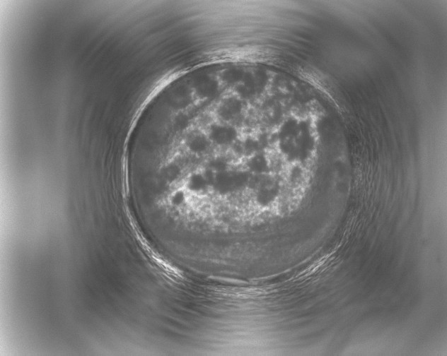 X0000051891079200507222009