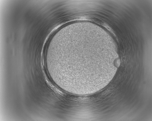 X0000051891080200507222009