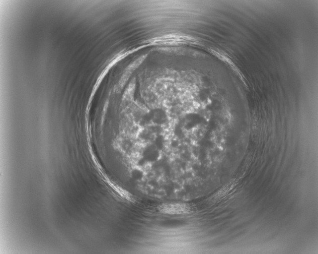 X0000051891083200507222009