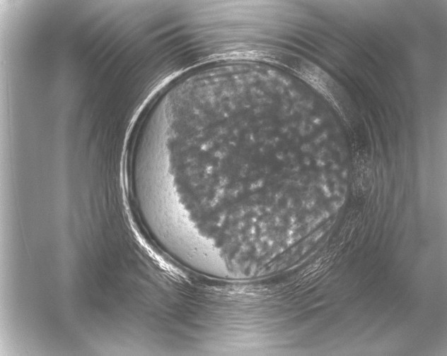 X0000051891084200507222009