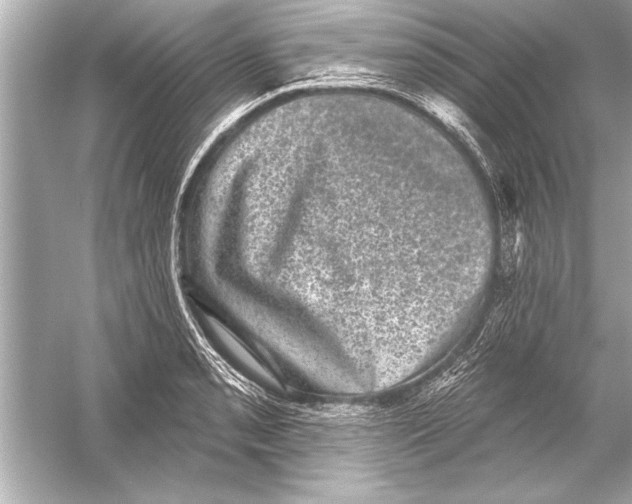 X0000051891085200507222009