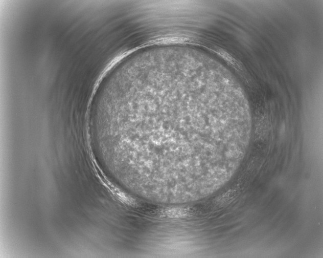 X0000051891086200507222009