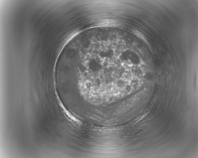 X0000051891087200507222009