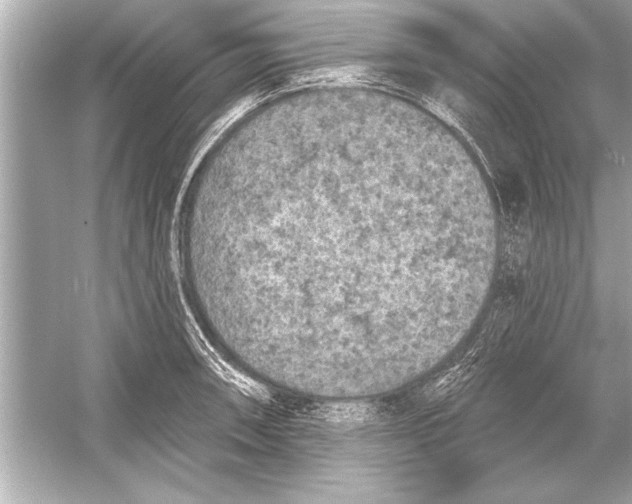 X0000051891090200507222009