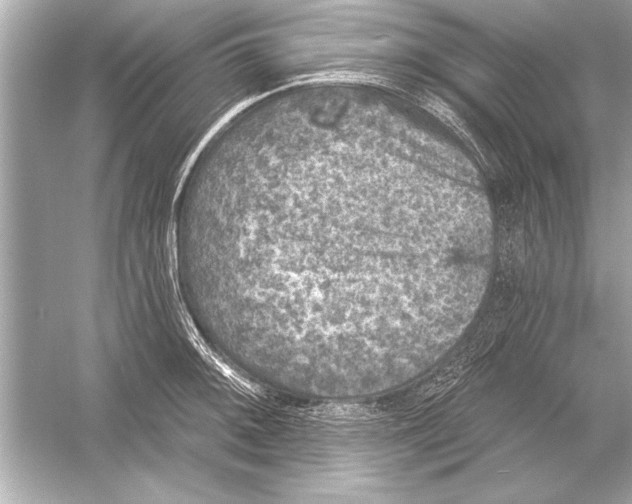 X0000051891092200507222009