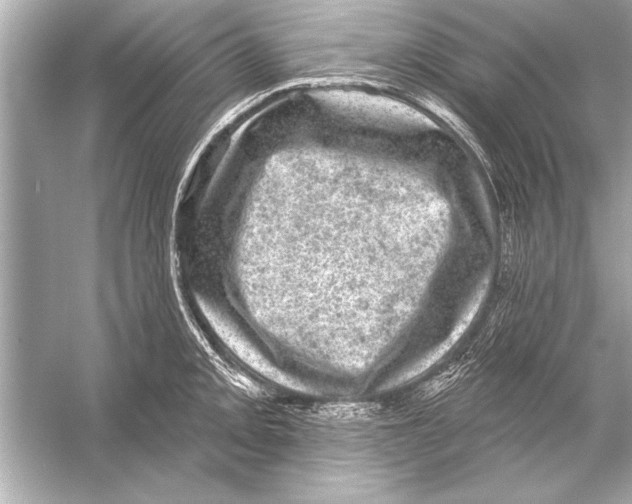 X0000051891093200507222009