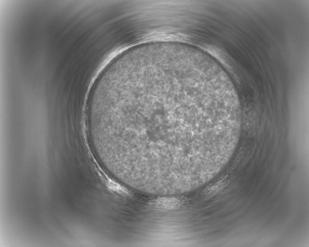 X0000051891094200507222009