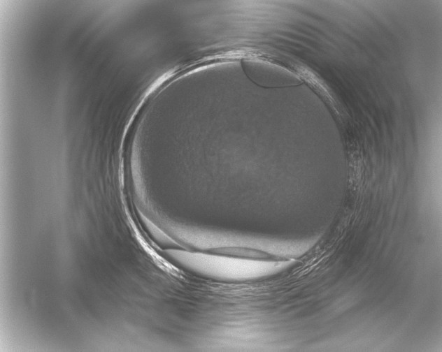 X0000051891095200507222009