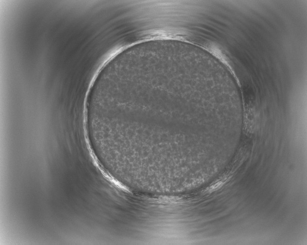 X0000051891096200507222009