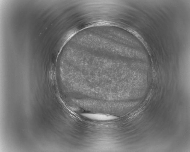 X0000051891097200507222009