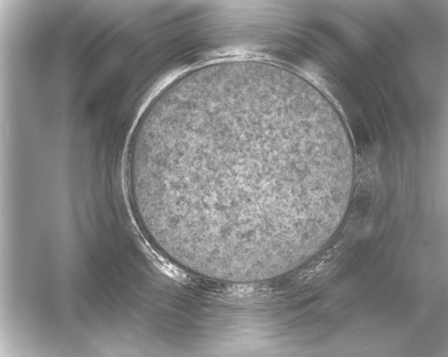 X0000051891098200507222009