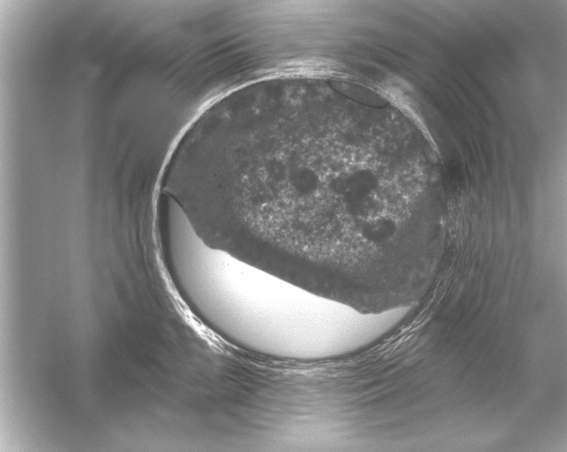 X0000051891099200507222009