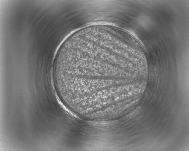 X0000051891100200507222009