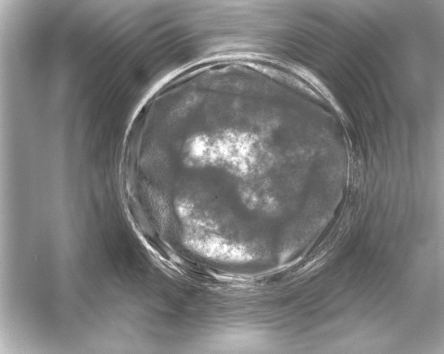 X0000051891101200507222009