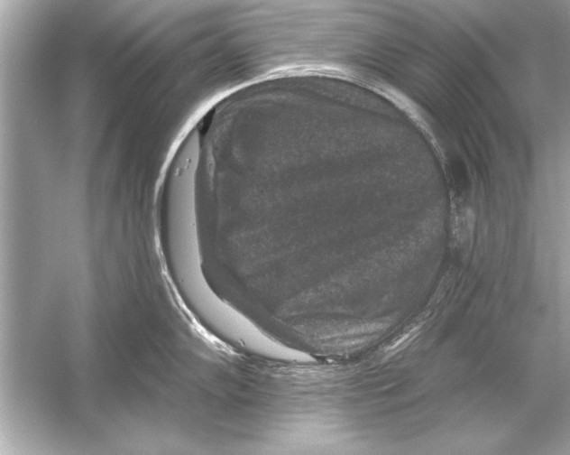 X0000051891102200507222009