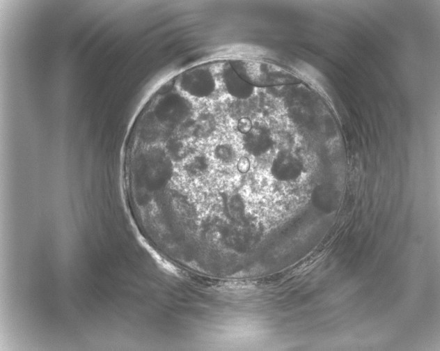 X0000051891103200507222009