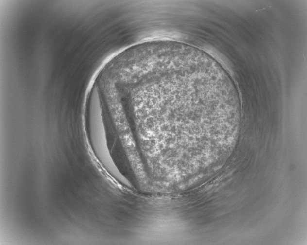 X0000051891104200507222009