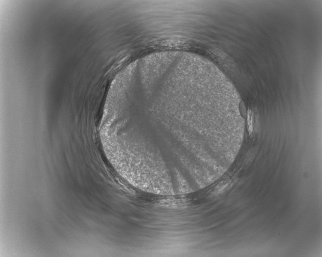 X0000051891107200507222008