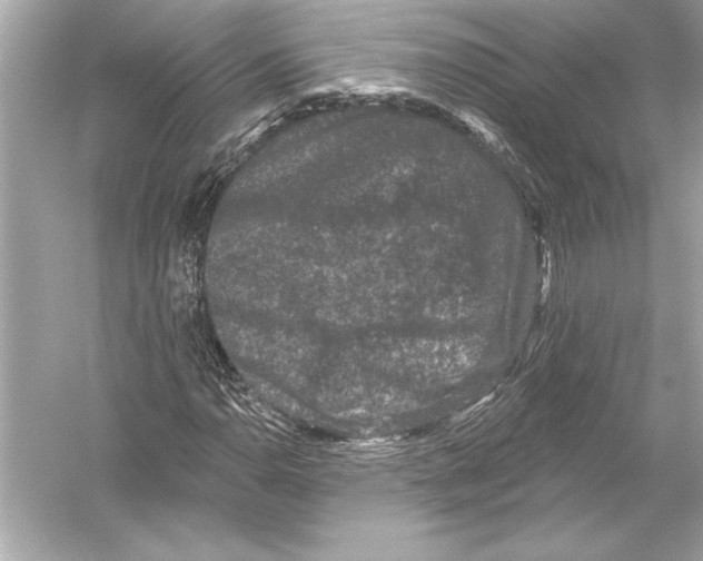 X0000051891110200507222008