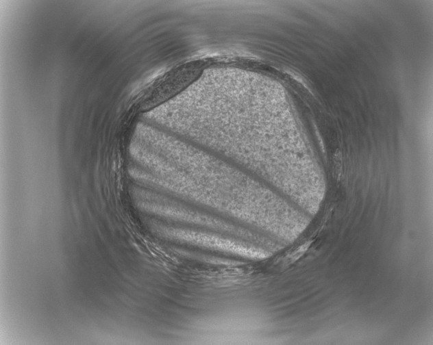 X0000051891111200507222008