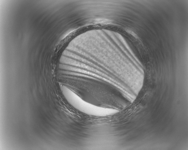 X0000051891112200507222008