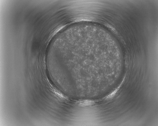 X0000051891113200507222008