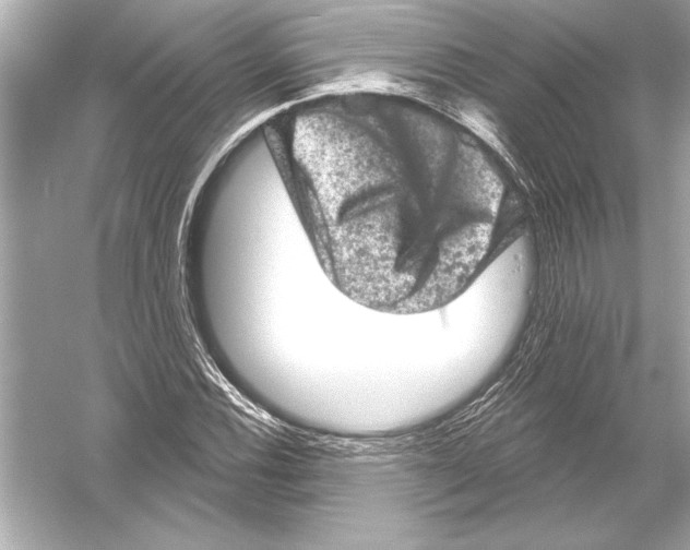 X0000051891116200507222008