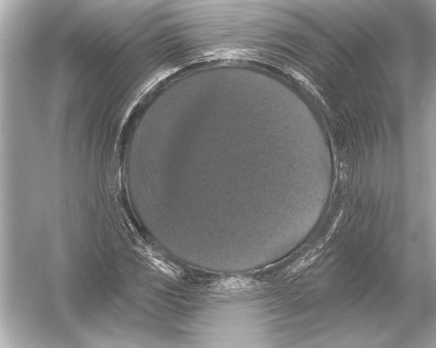 X0000051891117200507222008