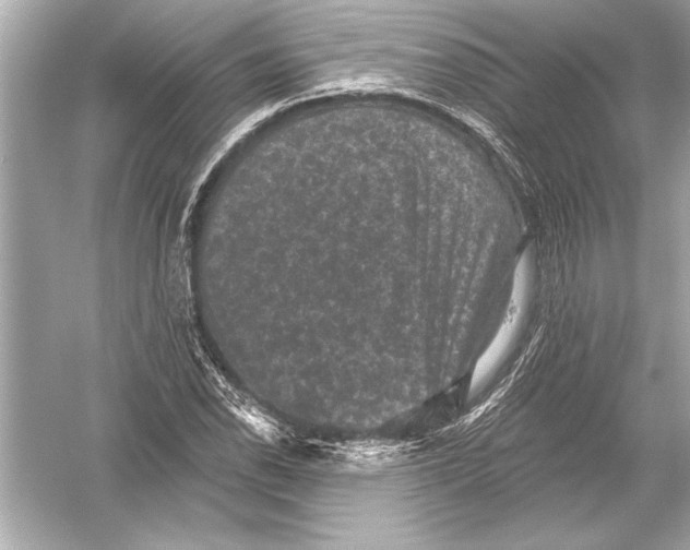 X0000051891118200507222008