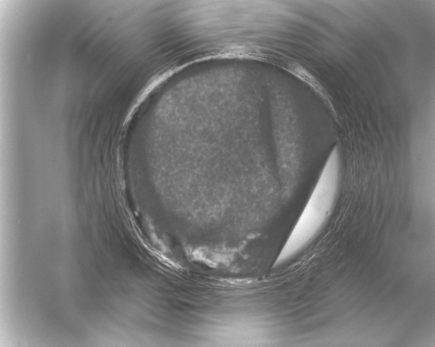 X0000051891120200507222008