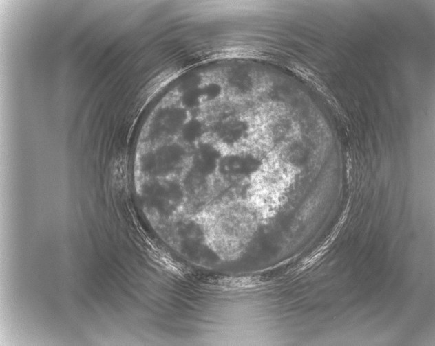 X0000051891121200507222008