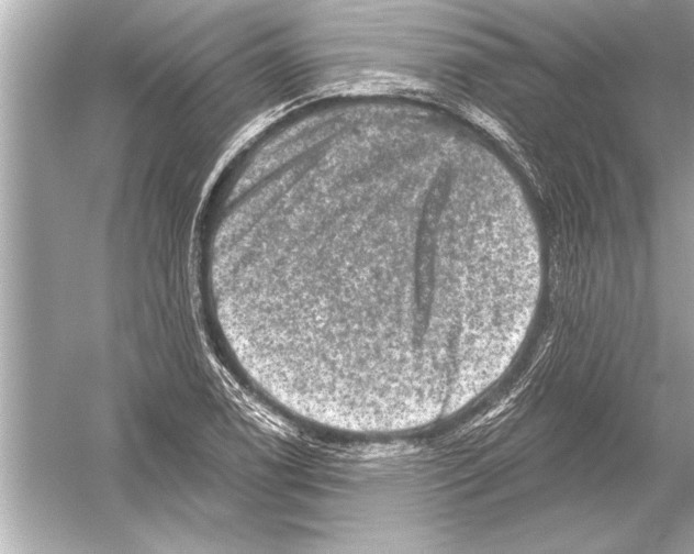 X0000051891122200507222008