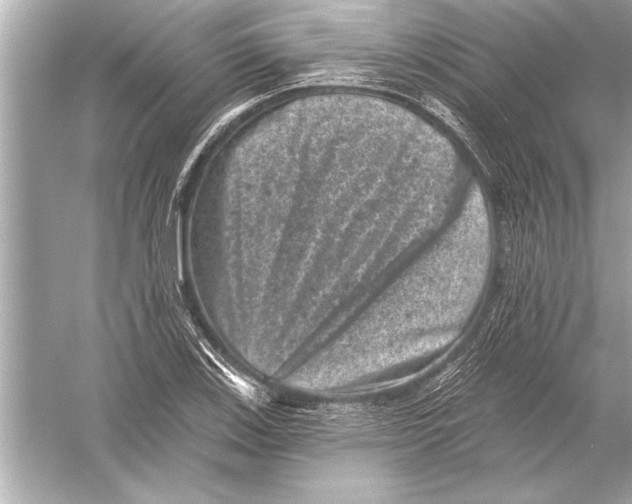 X0000051891123200507222008