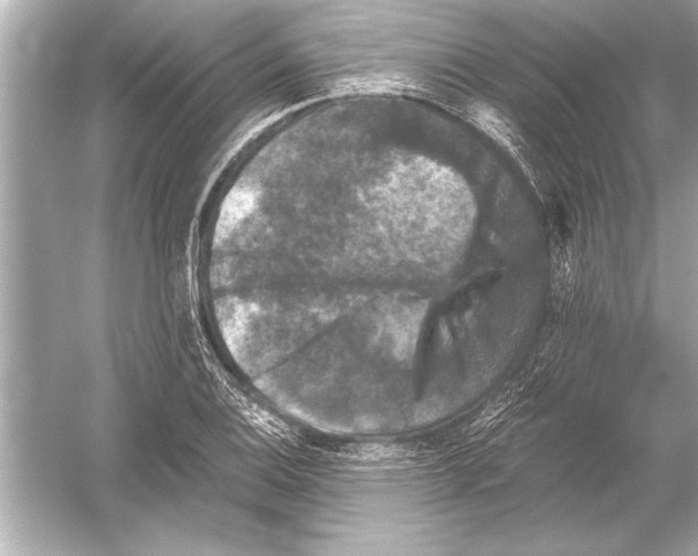 X0000051891124200507222009