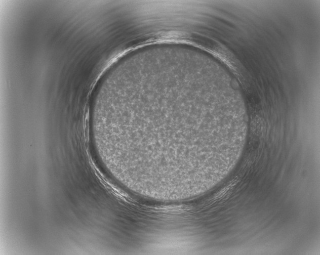 X0000051891126200507222009