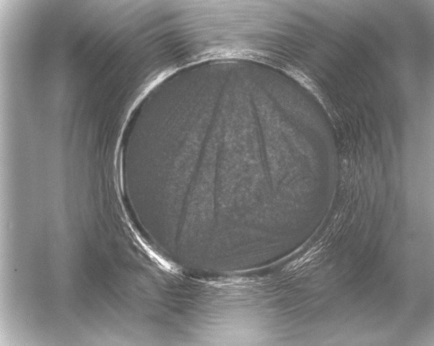 X0000051891127200507222009