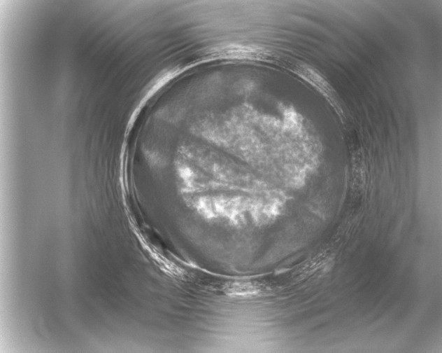 X0000051891128200507222009