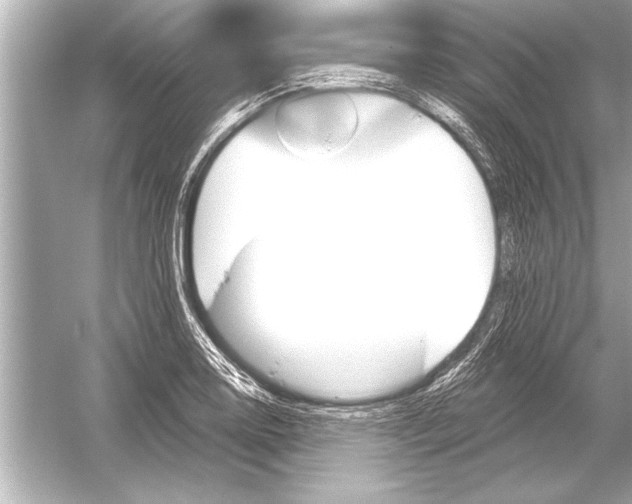 X0000051891130200507222009