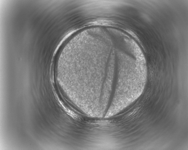 X0000051891131200507222009