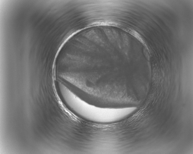 X0000051891132200507222009