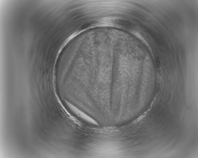 X0000051891133200507222009