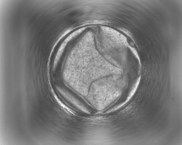 X0000051891135200507222009