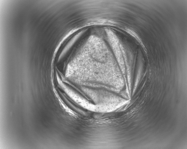 X0000051891136200507222009