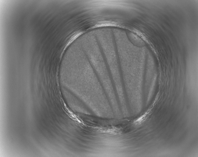 X0000051891137200507222009