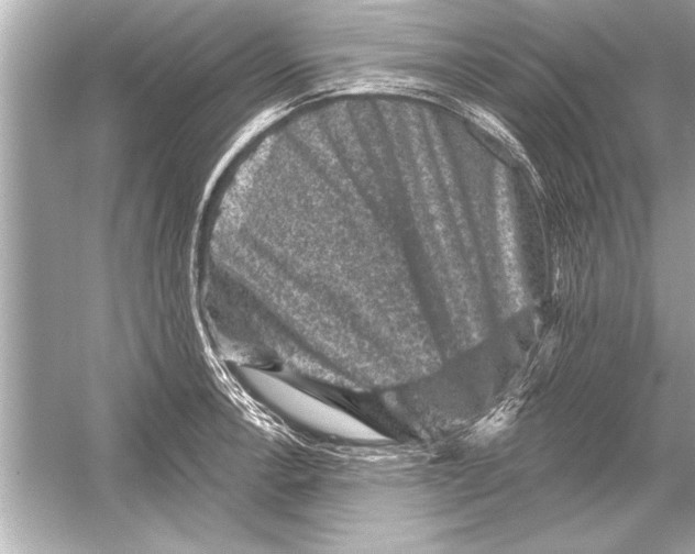 X0000051891138200507222009