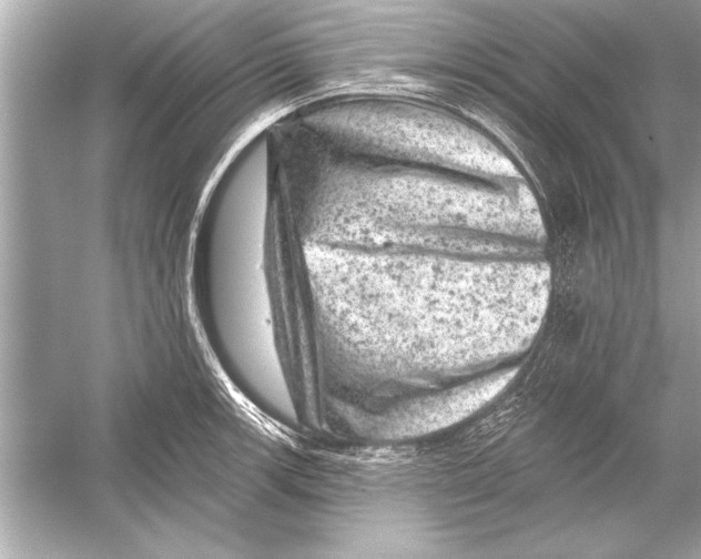 X0000051891139200507222009